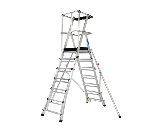 Guardian Ladder