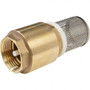 Pegler-Foot Valve Brass 1"-Pgr-Fvb1