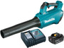 Cordless Blower 18v