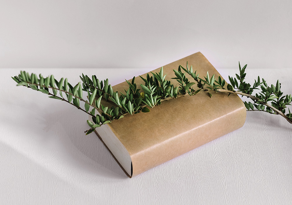 Diccionario de nombres en Farmacia estudiantes 47 en Valdepeñas, Ciudad Real