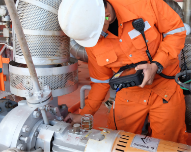 Electric Motor Vibration Analysis