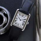 Cartier Tank Solo Stainless Steel WSTAA0030 2021 Card