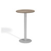 Travira 24" Round Bar Table - Vintage with Flint