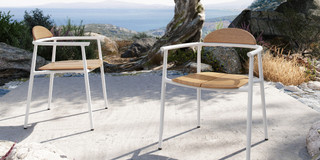Ario collection