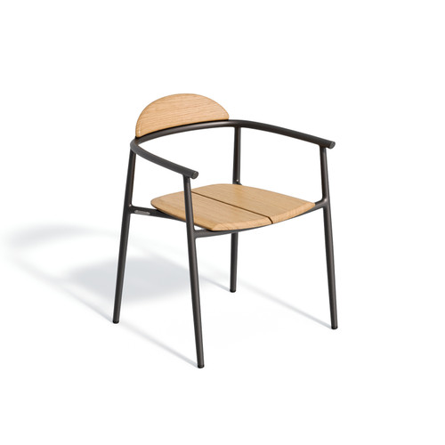 Ario Armchair - Teak with Carbon