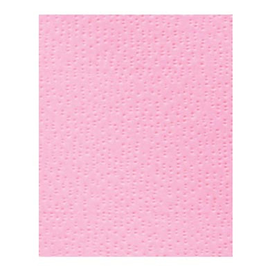 Crosstex Polygard Bib 3 Ply