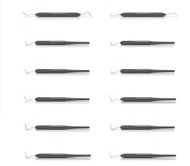 American Eagle Probes