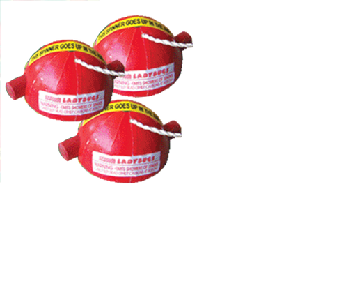 Ladybugs Bulk (100/1)