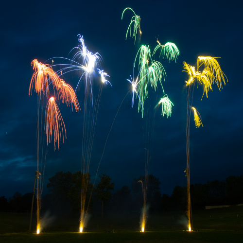 25s Red Falling Leaves (20sec)