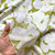 145gsm chartreuse floral rayon linen challis, by metre