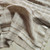 122gsm jacquard khaki linen cotton, by metre