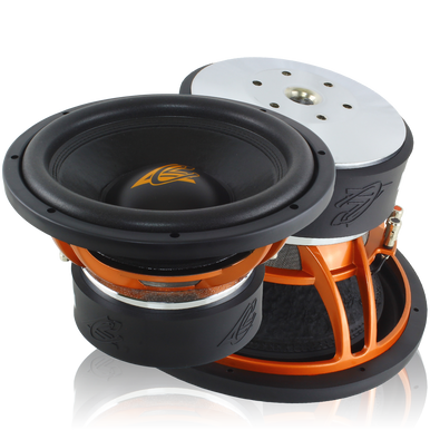 FORTE-12-000__20235.1755676422