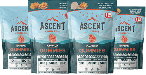 Daytime Mushroom Gummy CBD/Delta 9 10mg - 10 pack - Edible - Ascent