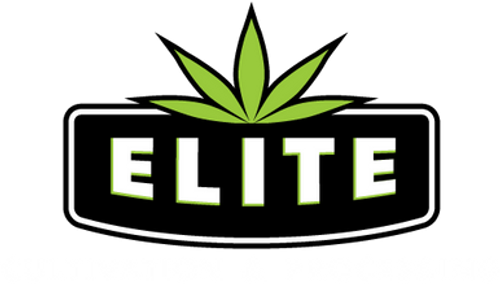 Elite - Gelato Cake - Bulk Flower