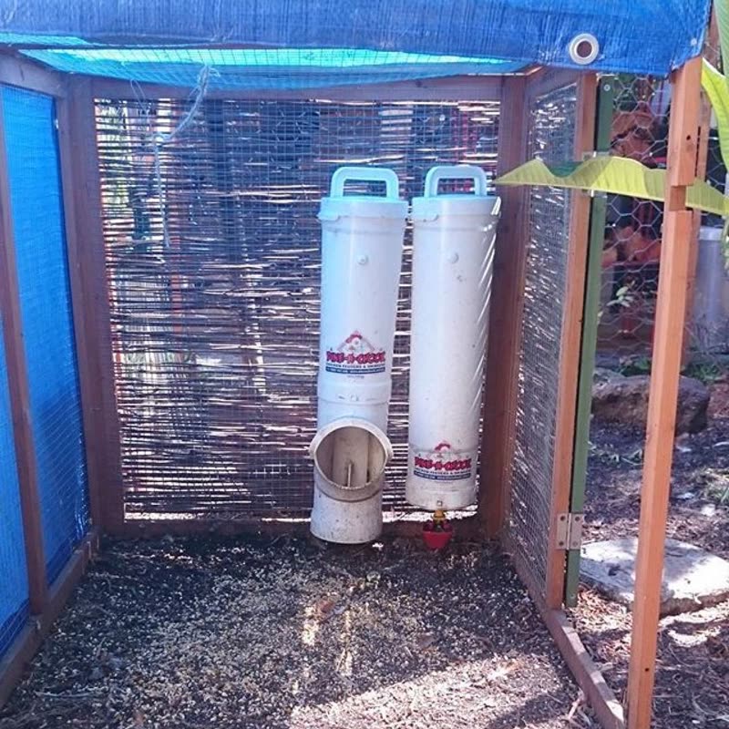 Dine-A-Chook customer photo: Cable ties, that's a great option when working out what height is required before