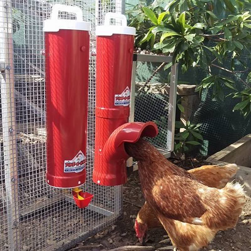Dine-A-Chook customer photo: Chooks love the @dineachook feeders and