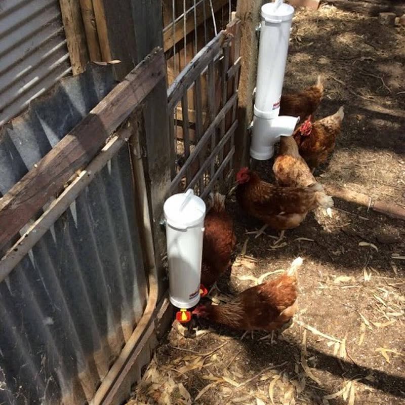 Dine-A-Chook customer photo: "How clever are my girls!" Jen