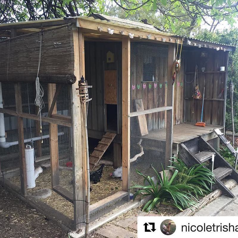 Dine-A-Chook customer photo: @nicoletrishabailey () ・・・ Taj Mahal chicken