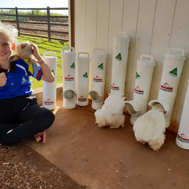 Dine-A-Chook customer photo: Reposting from ours and @chickens2love Facebook