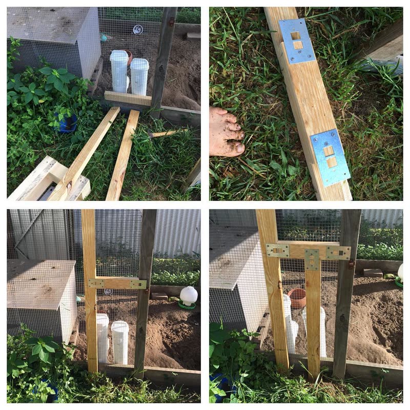Dine-A-Chook customer photo: The @2chookchooks building inspectors Annie and Sammi finally gave approval and the