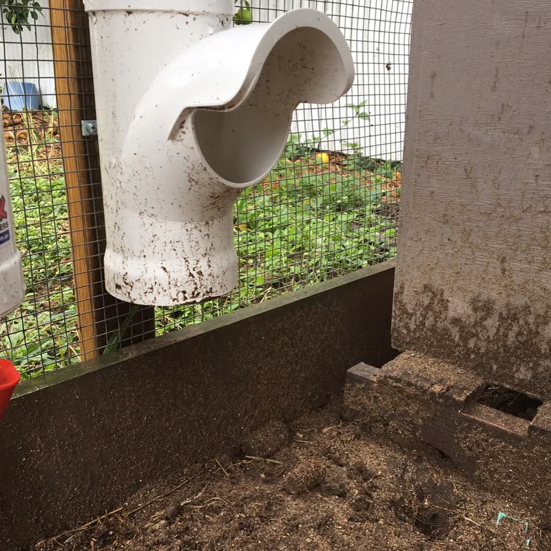 Dine-A-Chook customer photo: This is what @2chookchooks feeder looks like 100mm + of rain in the last 24hours, ( that's
