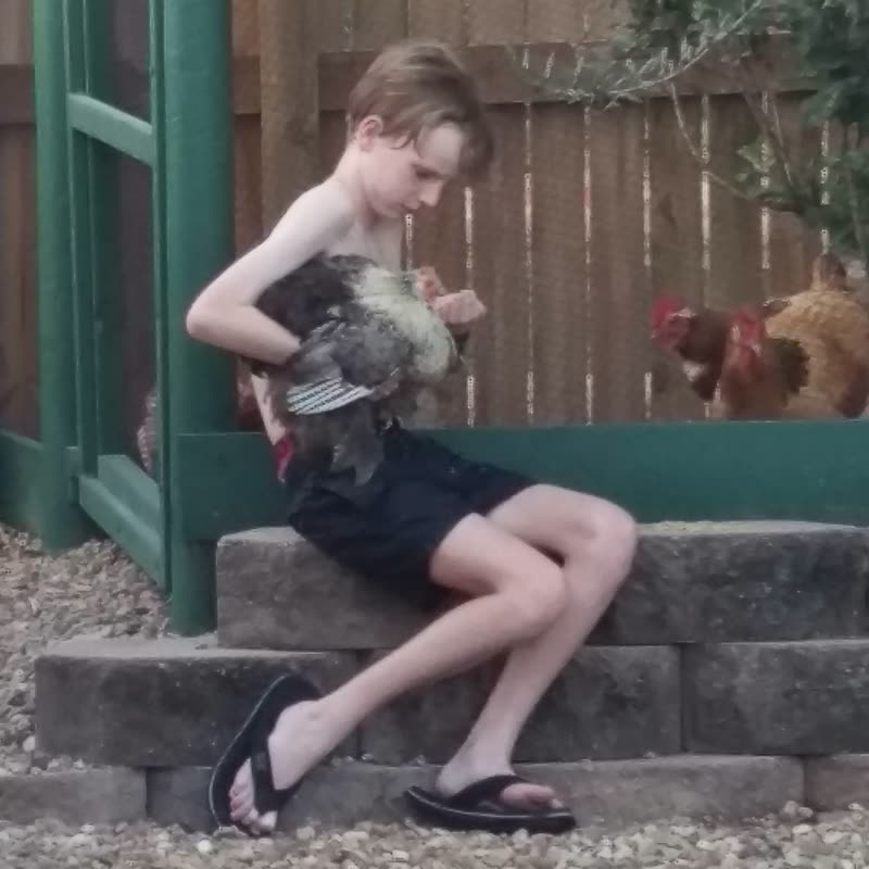 Dine-A-Chook customer photo: What is Dine a