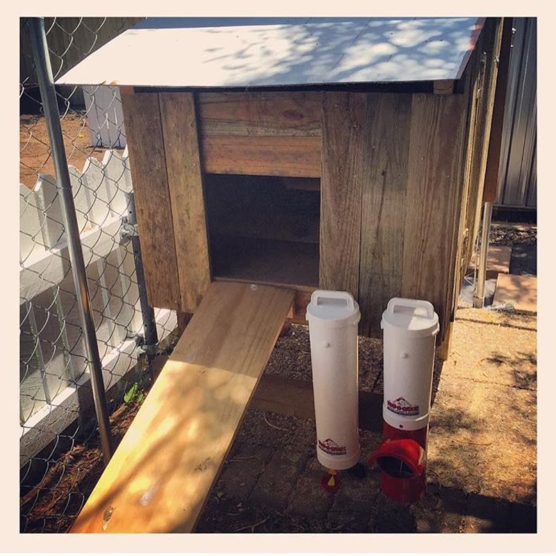 Dine-A-Chook customer photo: Check out @johnnysmartaus neat little two chicken