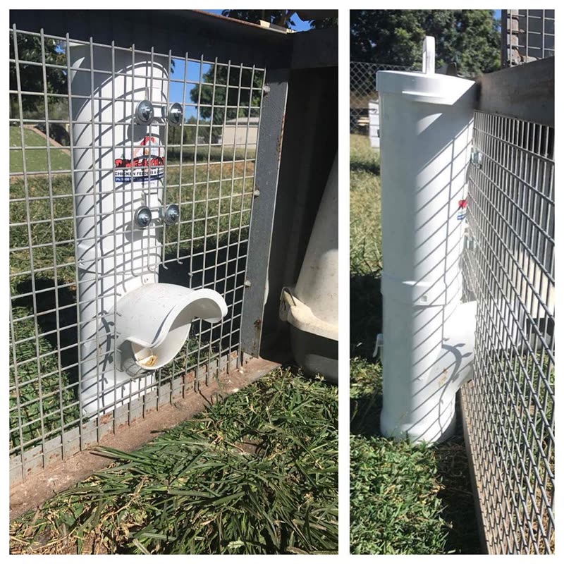 Dine-A-Chook customer photo: Do you have a chicken tractor or pen with a low roof that prevents you installing a