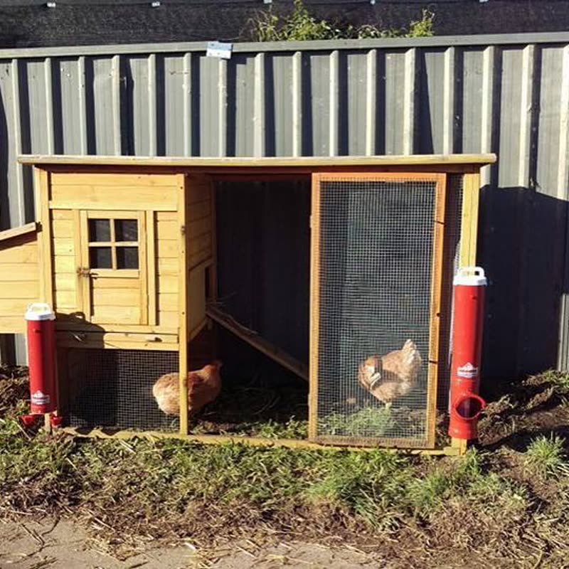 Dine-A-Chook customer photo: How cute is this little coop, all blinged out with Red @dineachook feeders