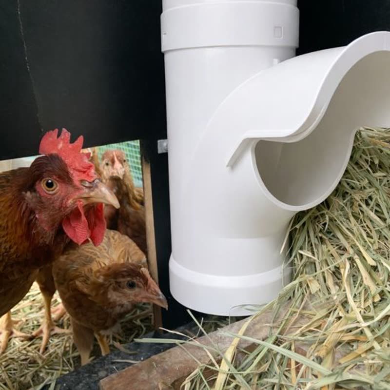 Dine-A-Chook customer photo: How did they get so