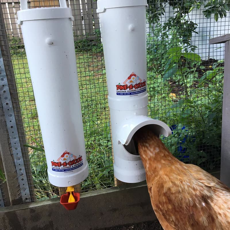 Dine-A-Chook customer photo: It's been raining overnight. This is where the dry food is at. Have you got one yet? If so