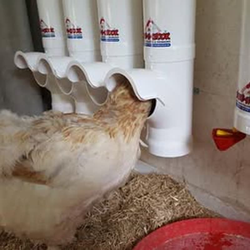 Dine-A-Chook customer photo: Nice set up in Germany. Yes we ship world wide.. Show us yours