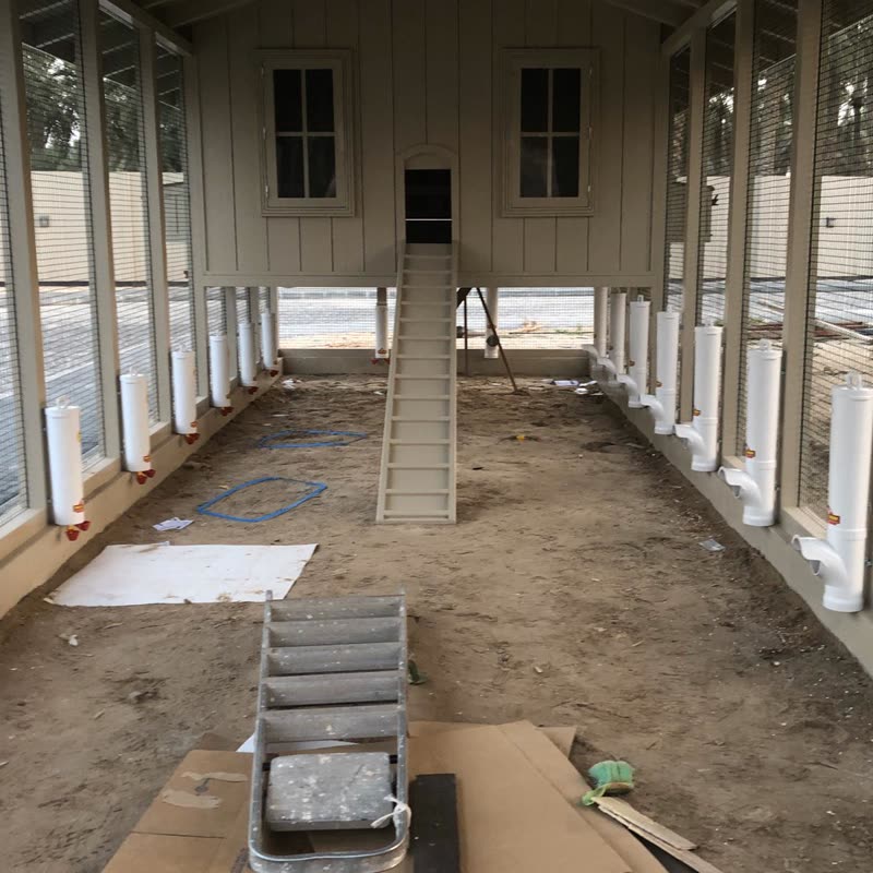 Dine-A-Chook customer photo: The beginnings of a beautiful