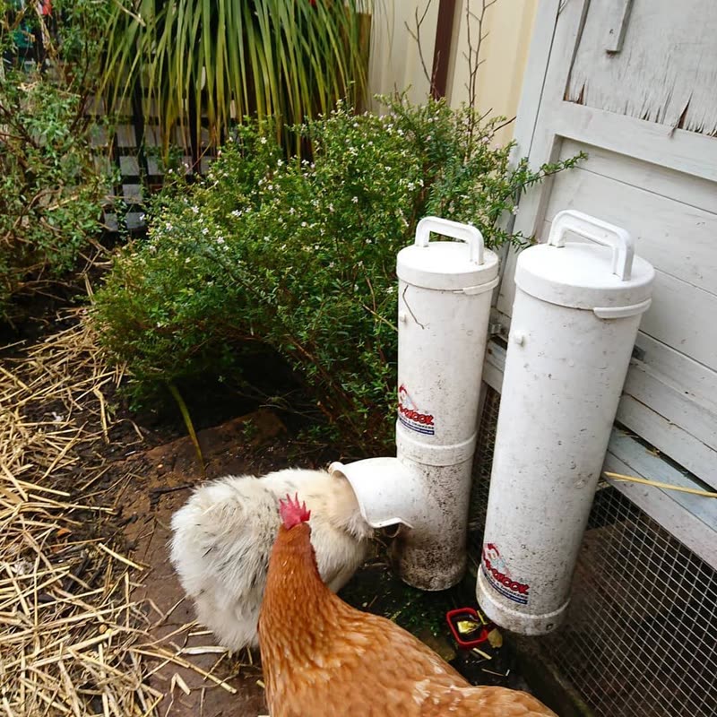Dine-A-Chook customer photo: The lunch queue.... We've had more rain but thanks to @dineachook and their amazing design