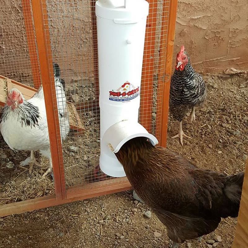 Dine-A-Chook customer photo: @totheskyy () ・・・ We LOVE the dineachook feeder it makes the feed last 3 times as long as