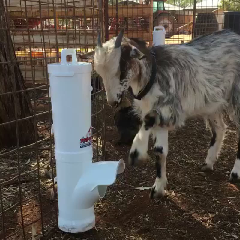 Dine-A-Chook customer photo: Via Facebook " Finally something goat
