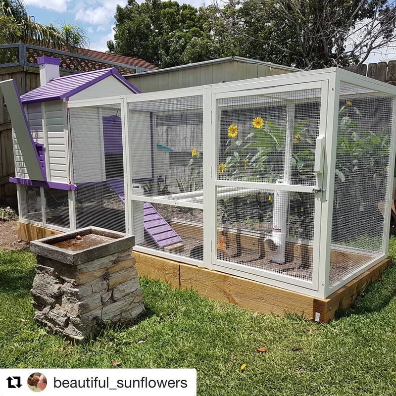Dine-A-Chook customer photo: We are impressed too