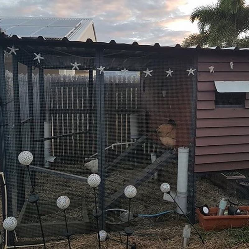Dine-A-Chook customer photo: We love seeing our OG feeders still going