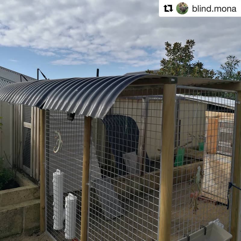 Dine-A-Chook customer photo: Who else is taking advantage of the winter weather to upgrade your