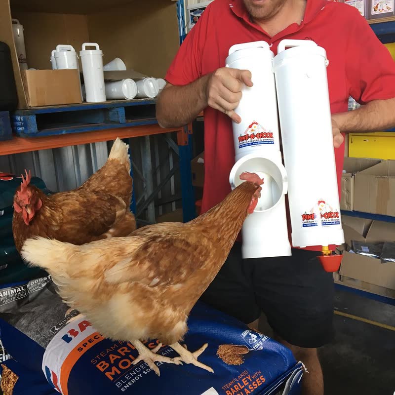 Dine-A-Chook customer photo: Yep that's the set we should give away when @dineachook reaches 1000 followers on