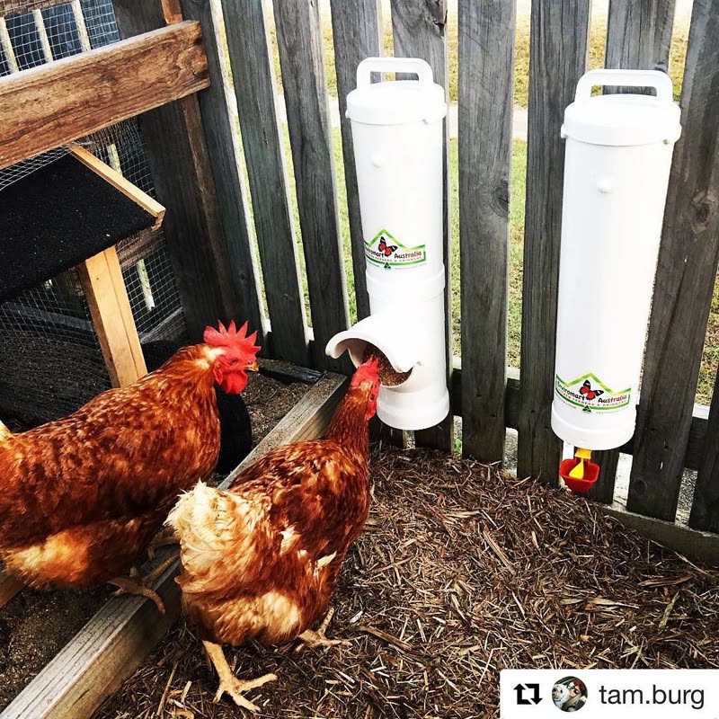 Dine-A-Chook customer photo: You should be able to comfortably feed 4 Chickens for 4 days with one full 3.5 Litre