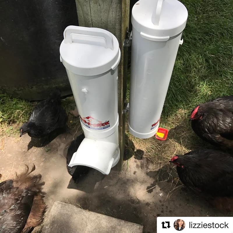 Dine-A-Chook customer photo: Another great, this time in NewZealand, thanks for sharing @lizziestock ・・・ Can't wait for