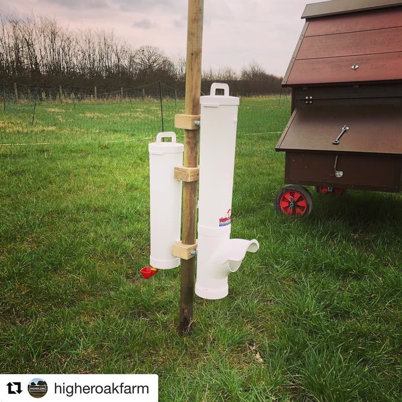 Dine-A-Chook customer photo: Check out this nifty little setup by @higheroakfarm over in England Moveable chicken food