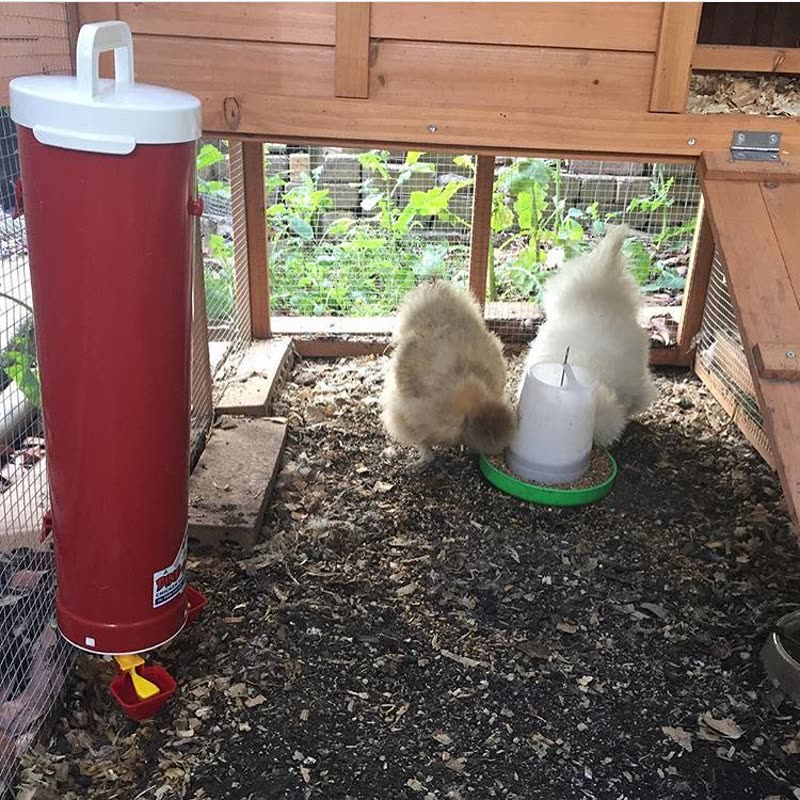 Dine-A-Chook customer photo: Our @dineachook drinker arrived today and I am so
