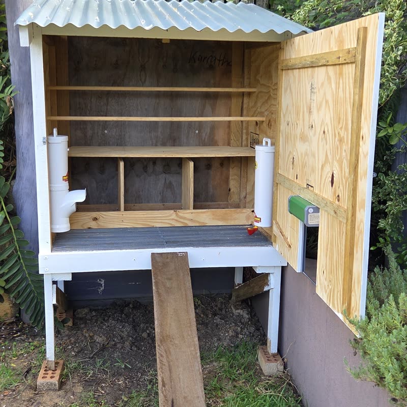 Dine-A-Chook customer photo: Great idea and