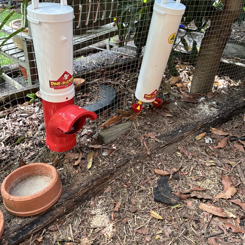 Dine-A-Chook customer photo: A lot of thought in the design ,works as expected didn’t take long for the chooks to work