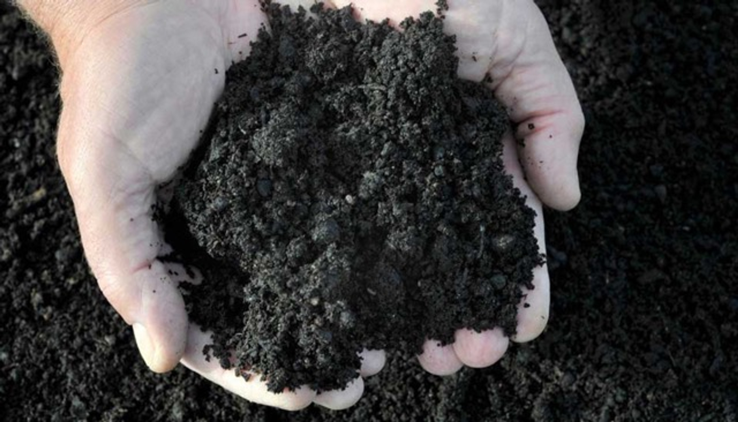 How To Use Chicken Manure in the Garden Dine a Chook USA