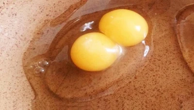 Weird Eggs: What has gone wrong?