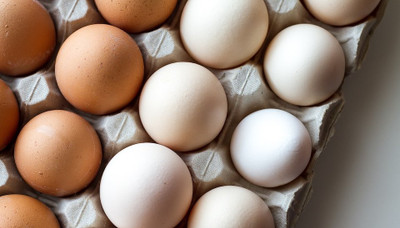 10 Egg Myths Busted