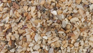 Do Chickens Need Shell Grit?